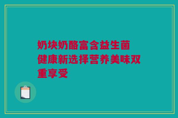 奶块奶酪富含益生菌 健康新选择营养美味双重享受