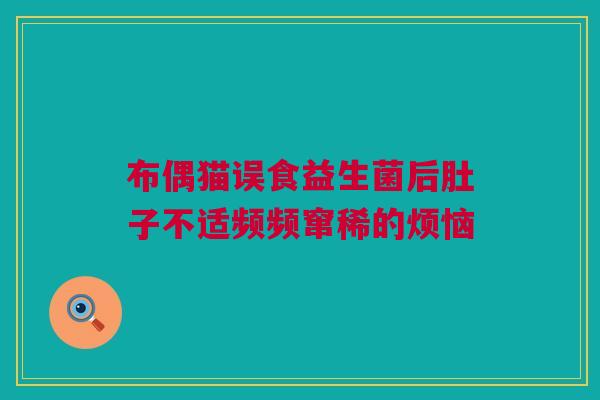 布偶猫误食益生菌后肚子不适频频窜稀的烦恼