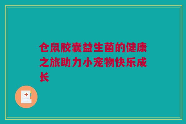 仓鼠胶囊益生菌的健康之旅助力小宠物快乐成长