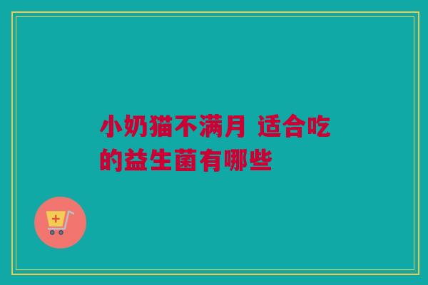 小奶猫不满月 适合吃的益生菌有哪些