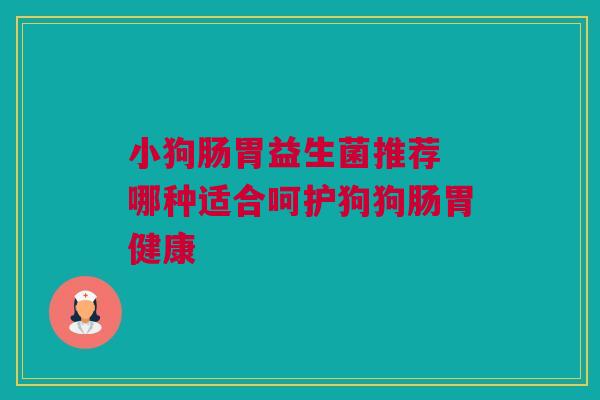 小狗肠胃益生菌推荐 哪种适合呵护狗狗肠胃健康