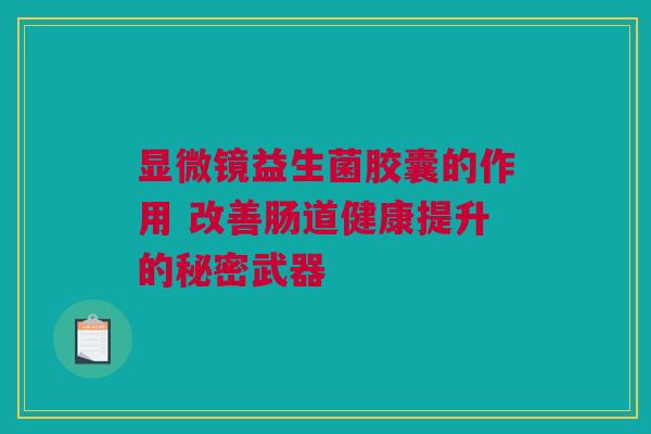 显微镜益生菌胶囊的作用 改善肠道健康提升的秘密武器