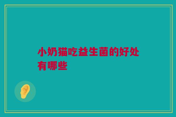 小奶猫吃益生菌的好处有哪些