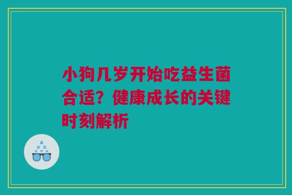 小狗几岁开始吃益生菌合适？健康成长的关键时刻解析