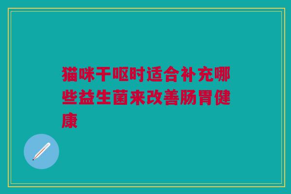 猫咪干呕时适合补充哪些益生菌来改善肠胃健康