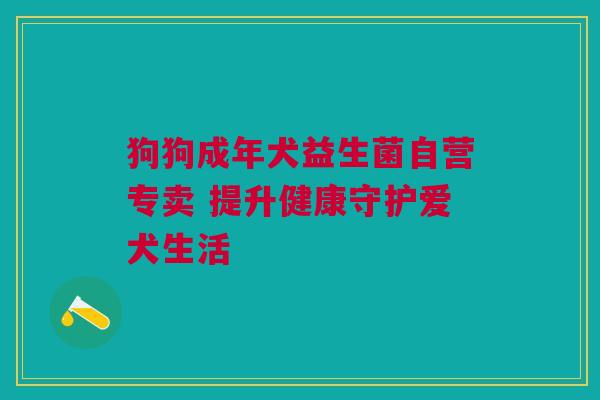 狗狗成年犬益生菌自营专卖 提升健康守护爱犬生活