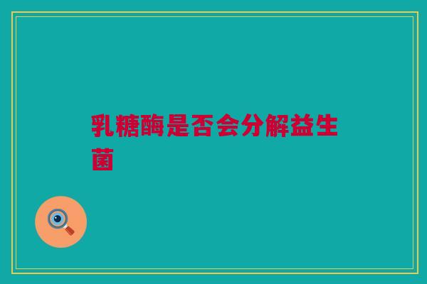 乳糖酶是否会分解益生菌