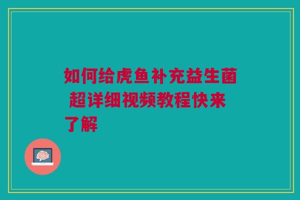 如何给虎鱼补充益生菌 超详细视频教程快来了解