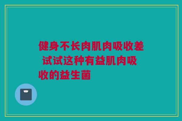 健身不长肉肌肉吸收差 试试这种有益肌肉吸收的益生菌