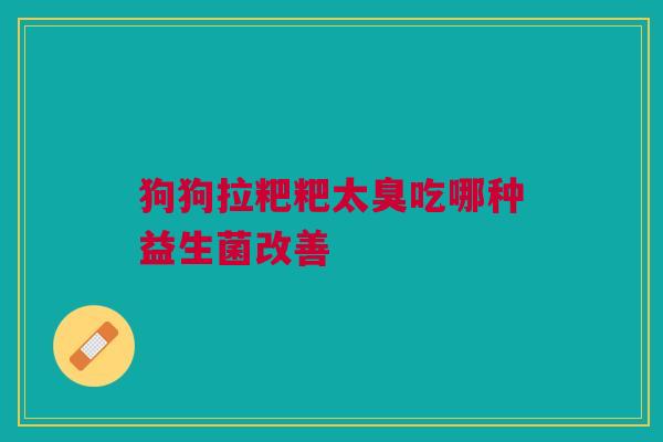 狗狗拉粑粑太臭吃哪种益生菌改善