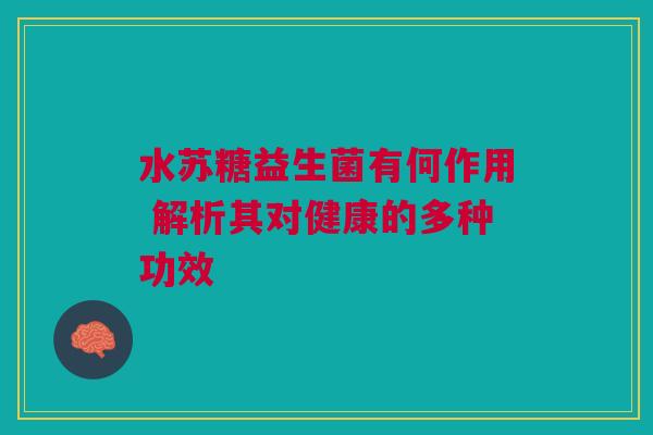 水苏糖益生菌有何作用 解析其对健康的多种功效
