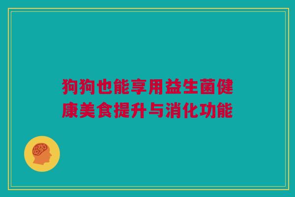 狗狗也能享用益生菌健康美食提升与消化功能