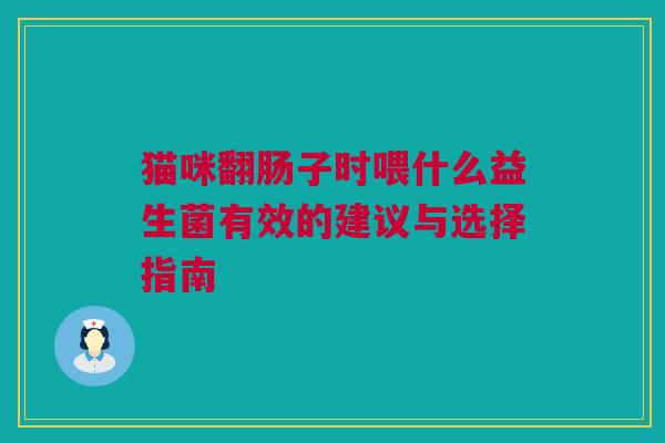 猫咪翻肠子时喂什么益生菌有效的建议与选择指南