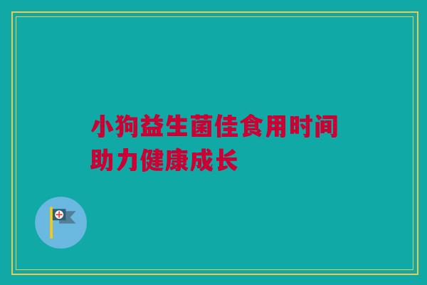 小狗益生菌佳食用时间助力健康成长