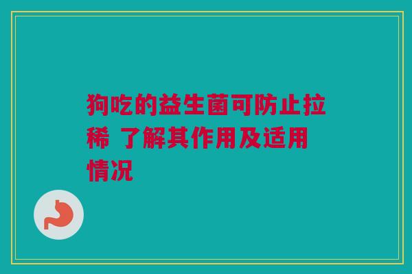 狗吃的益生菌可防止拉稀 了解其作用及适用情况