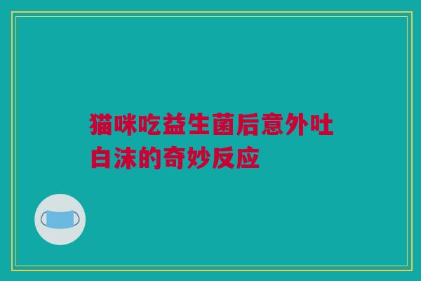 猫咪吃益生菌后意外吐白沫的奇妙反应