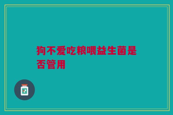 狗不爱吃粮喂益生菌是否管用