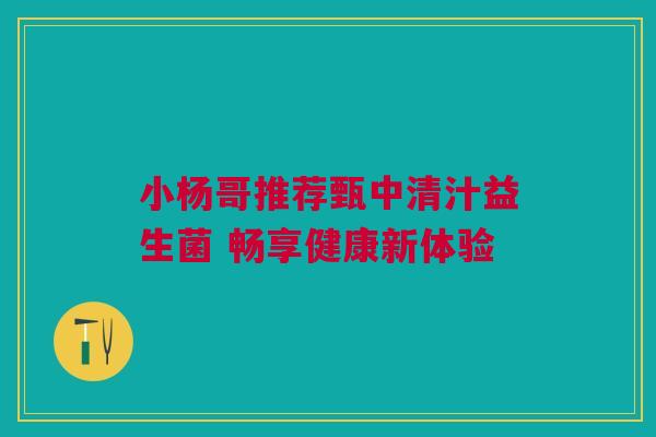 小杨哥推荐甄中清汁益生菌 畅享健康新体验