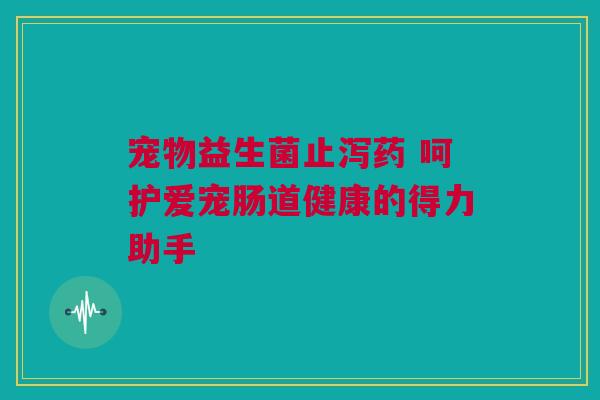 宠物益生菌止泻药 呵护爱宠肠道健康的得力助手