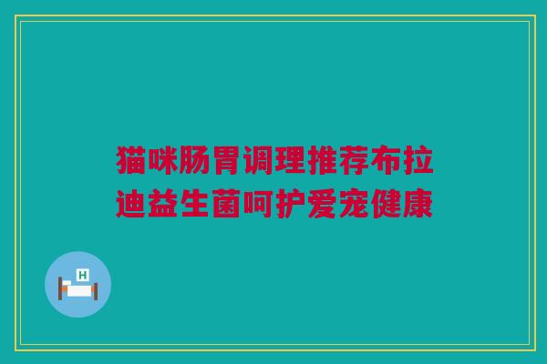 猫咪肠胃调理推荐布拉迪益生菌呵护爱宠健康