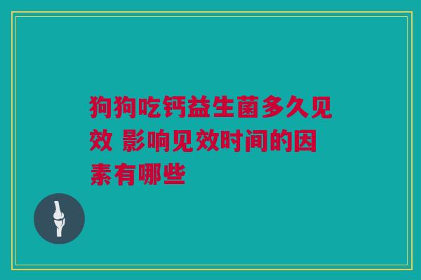 狗狗吃钙益生菌多久见效 影响见效时间的因素有哪些