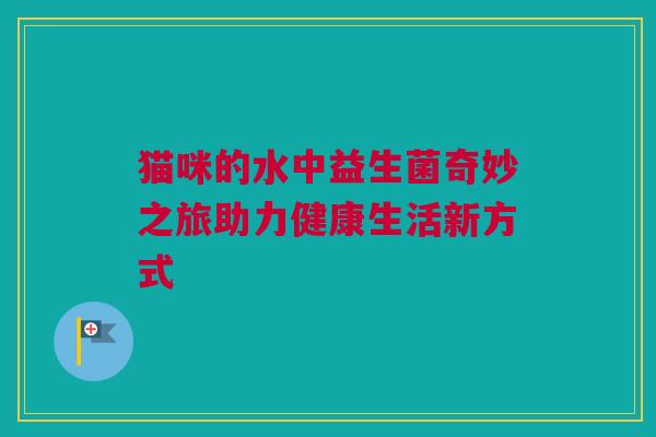 猫咪的水中益生菌奇妙之旅助力健康生活新方式