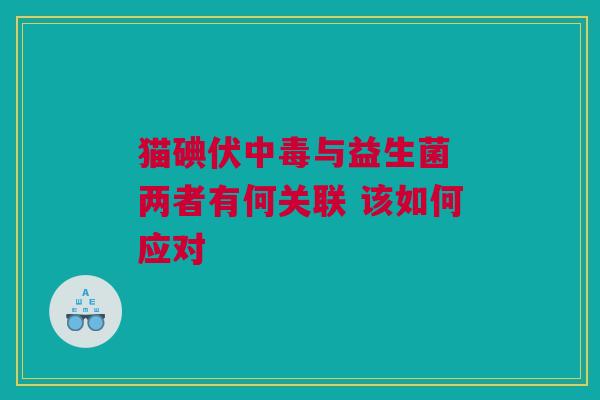 猫碘伏中毒与益生菌 两者有何关联 该如何应对