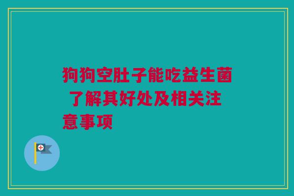狗狗空肚子能吃益生菌 了解其好处及相关注意事项