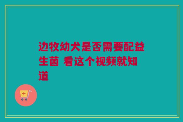 边牧幼犬是否需要配益生菌 看这个视频就知道