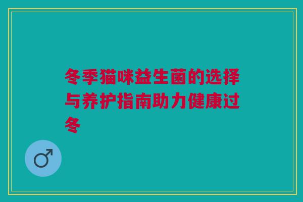 冬季猫咪益生菌的选择与养护指南助力健康过冬