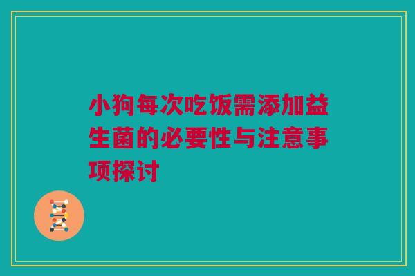 小狗每次吃饭需添加益生菌的必要性与注意事项探讨