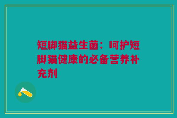 短脚猫益生菌：呵护短脚猫健康的必备营养补充剂