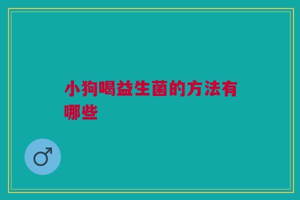 小狗喝益生菌的方法有哪些