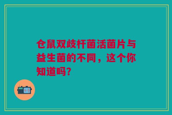 仓鼠双歧杆菌活菌片与益生菌的不同，这个你知道吗？