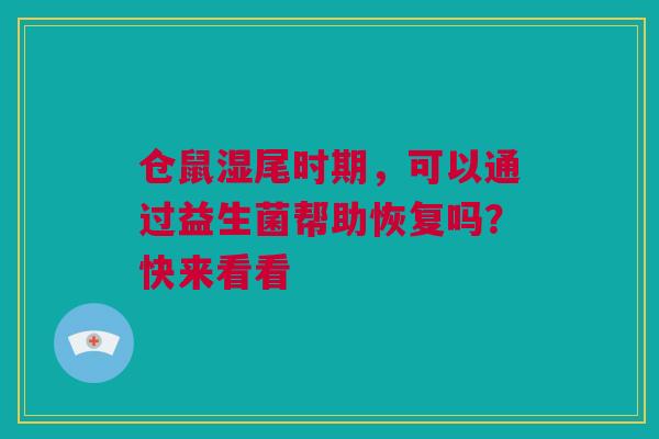 仓鼠湿尾时期，可以通过益生菌帮助恢复吗？快来看看