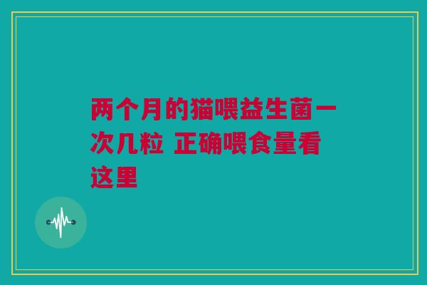 两个月的猫喂益生菌一次几粒 正确喂食量看这里