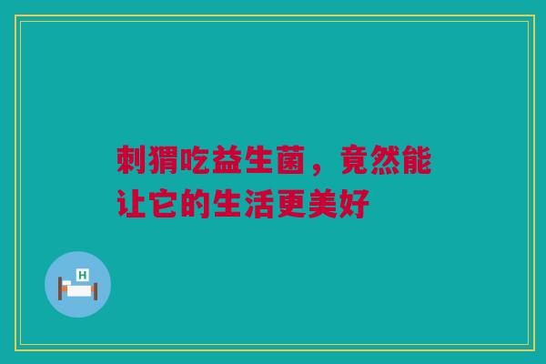 刺猬吃益生菌，竟然能让它的生活更美好