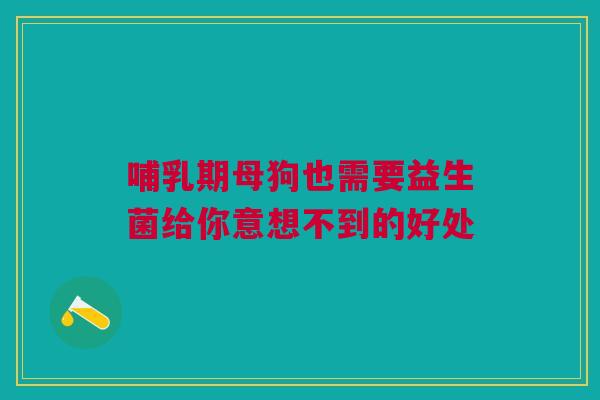哺乳期母狗也需要益生菌给你意想不到的好处