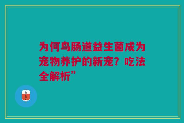 为何鸟肠道益生菌成为宠物养护的新宠？吃法全解析”