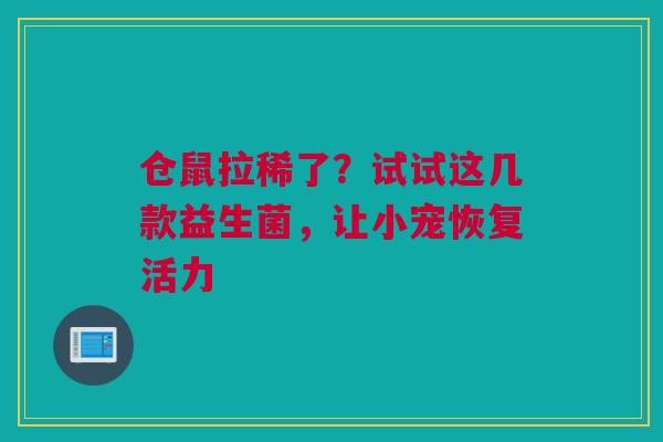 仓鼠拉稀了？试试这几款益生菌，让小宠恢复活力