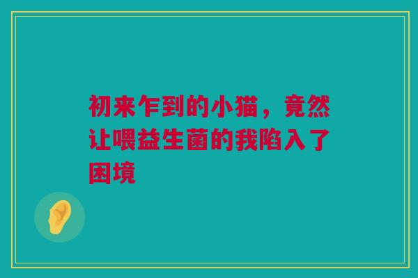 初来乍到的小猫，竟然让喂益生菌的我陷入了困境