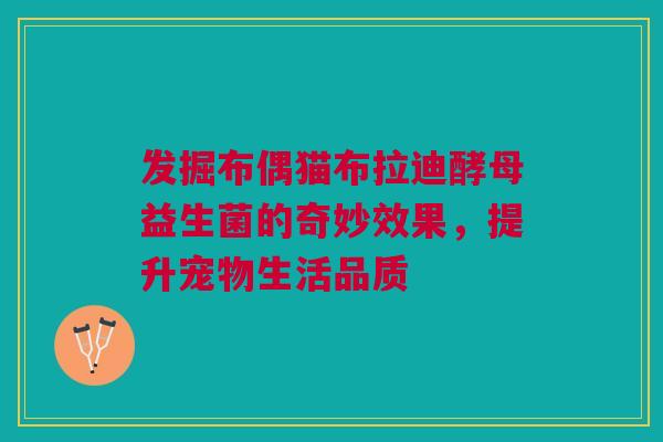 发掘布偶猫布拉迪酵母益生菌的奇妙效果，提升宠物生活品质