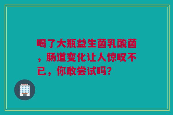 喝了大瓶益生菌乳酸菌，肠道变化让人惊叹不已，你敢尝试吗？