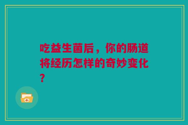 吃益生菌后，你的肠道将经历怎样的奇妙变化？