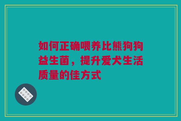 如何正确喂养比熊狗狗益生菌，提升爱犬生活质量的佳方式
