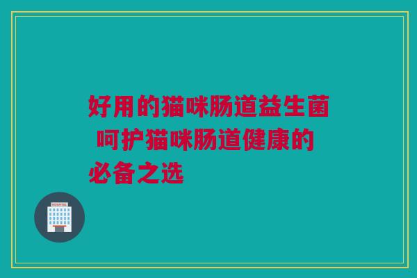 好用的猫咪肠道益生菌 呵护猫咪肠道健康的必备之选