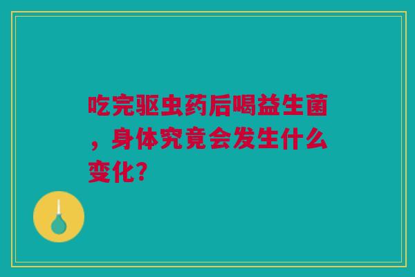 吃完驱虫药后喝益生菌，身体究竟会发生什么变化？