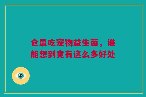 仓鼠吃宠物益生菌，谁能想到竟有这么多好处