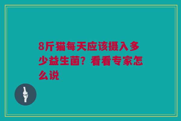 8斤猫每天应该摄入多少益生菌？看看专家怎么说