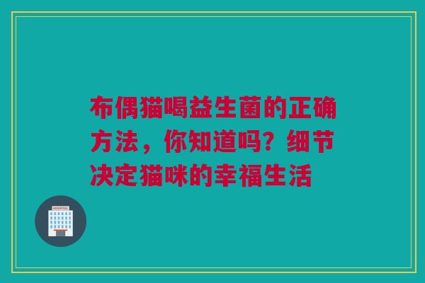 布偶猫喝益生菌的正确方法，你知道吗？细节决定猫咪的幸福生活